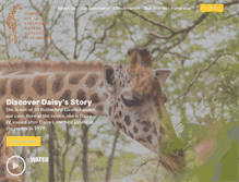 Tablet Screenshot of giraffecenter.org